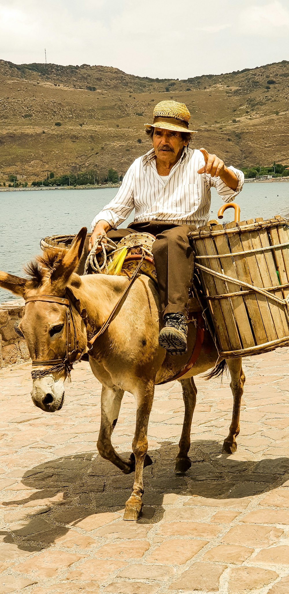 man riding on donkey