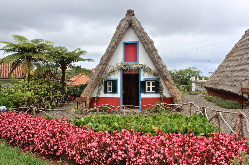 Flores cerca de la casa