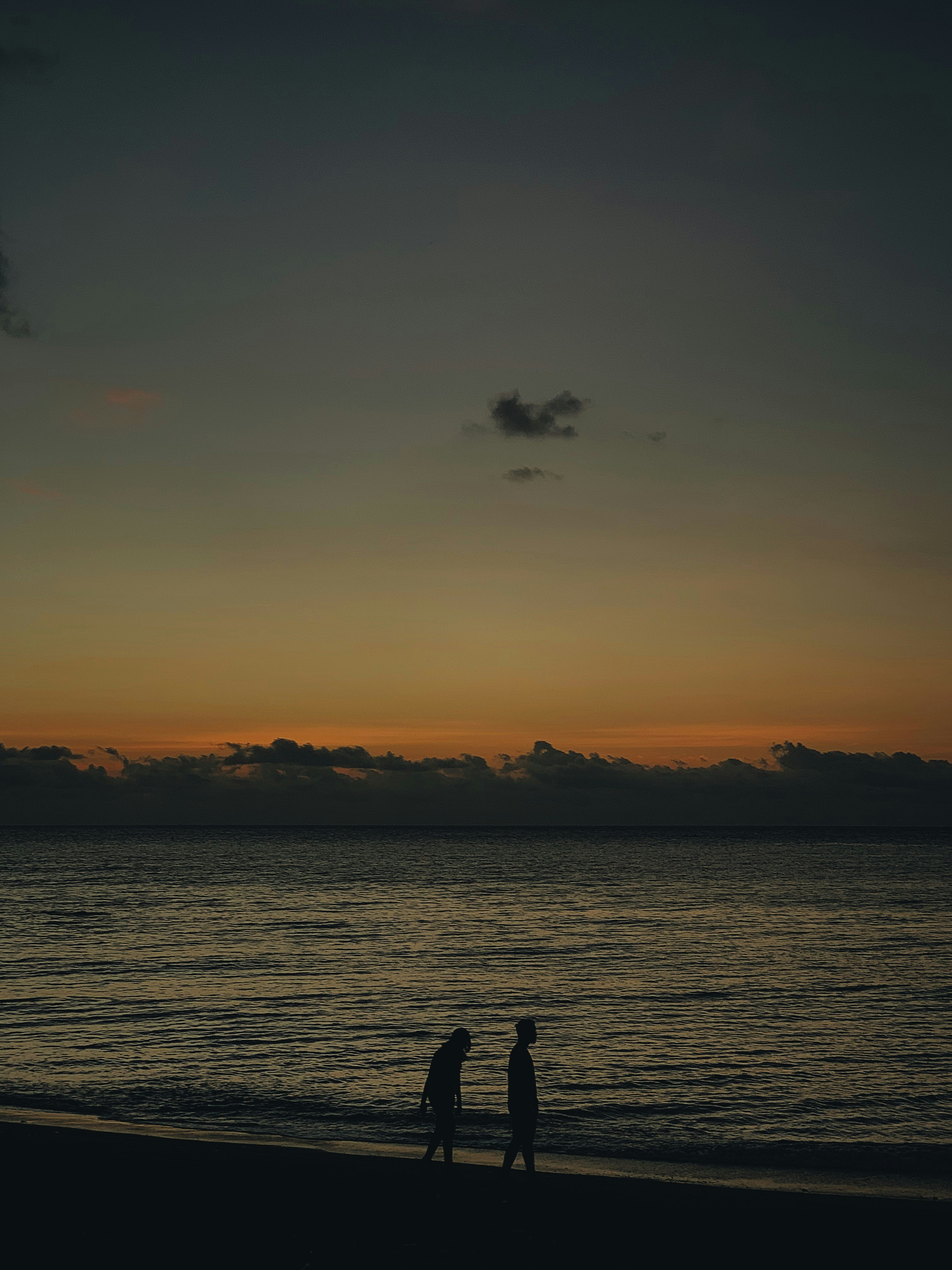 two person walking on seashore