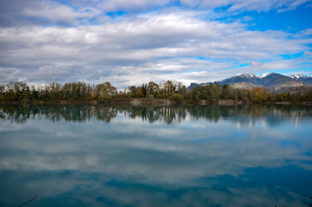 body of water near trees