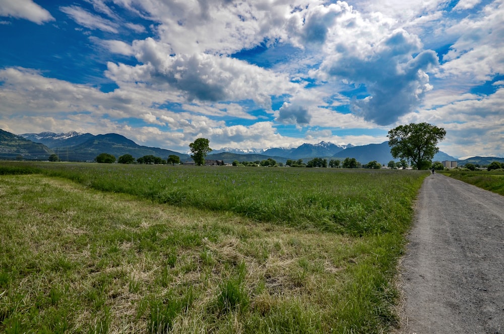 grass field under cloudy sky during daytime