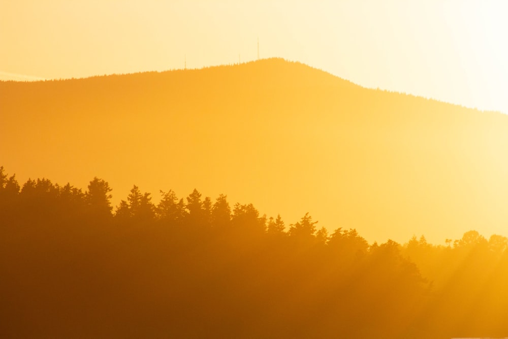 Le soleil se couche sur une montagne avec des arbres au premier plan