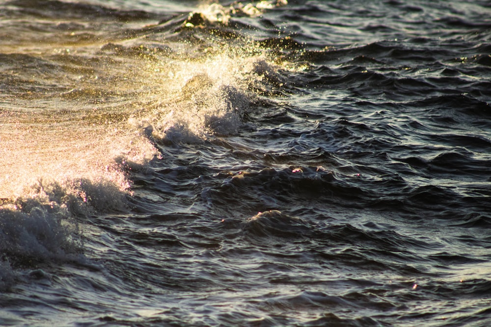 sea waves during daytime