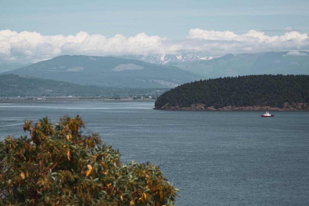 boat sails near island during daytime