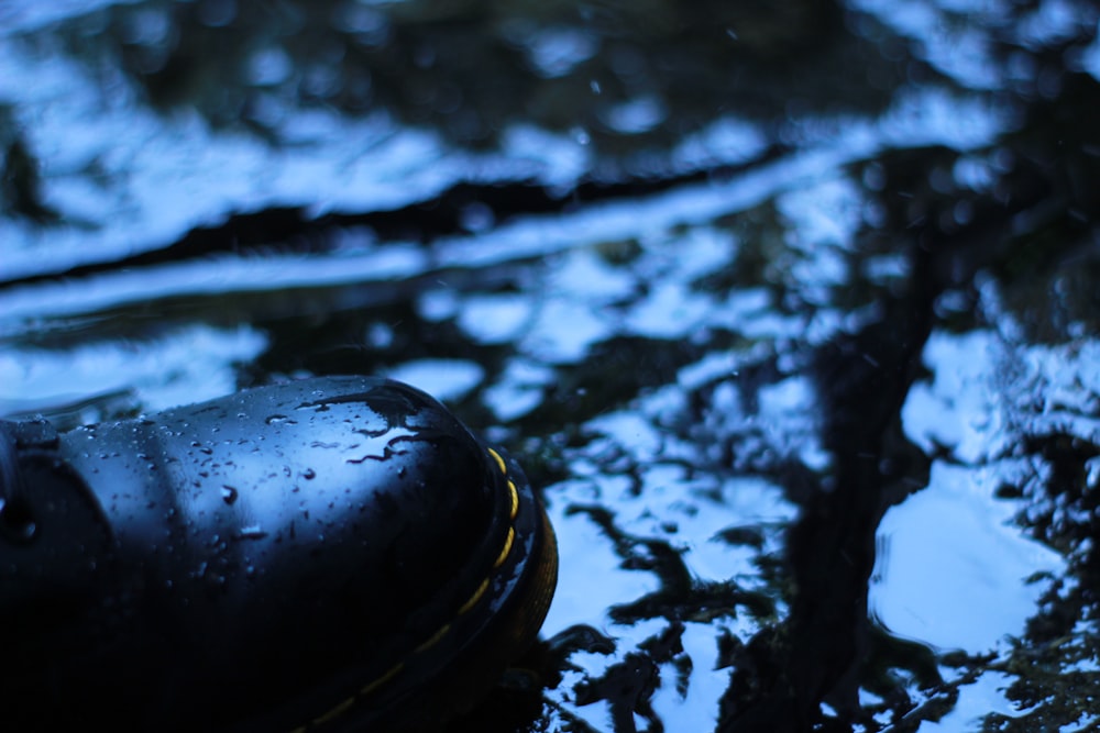 selective focus photograph of black leather shoe