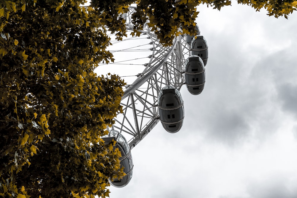 grey Ferris wheel in park