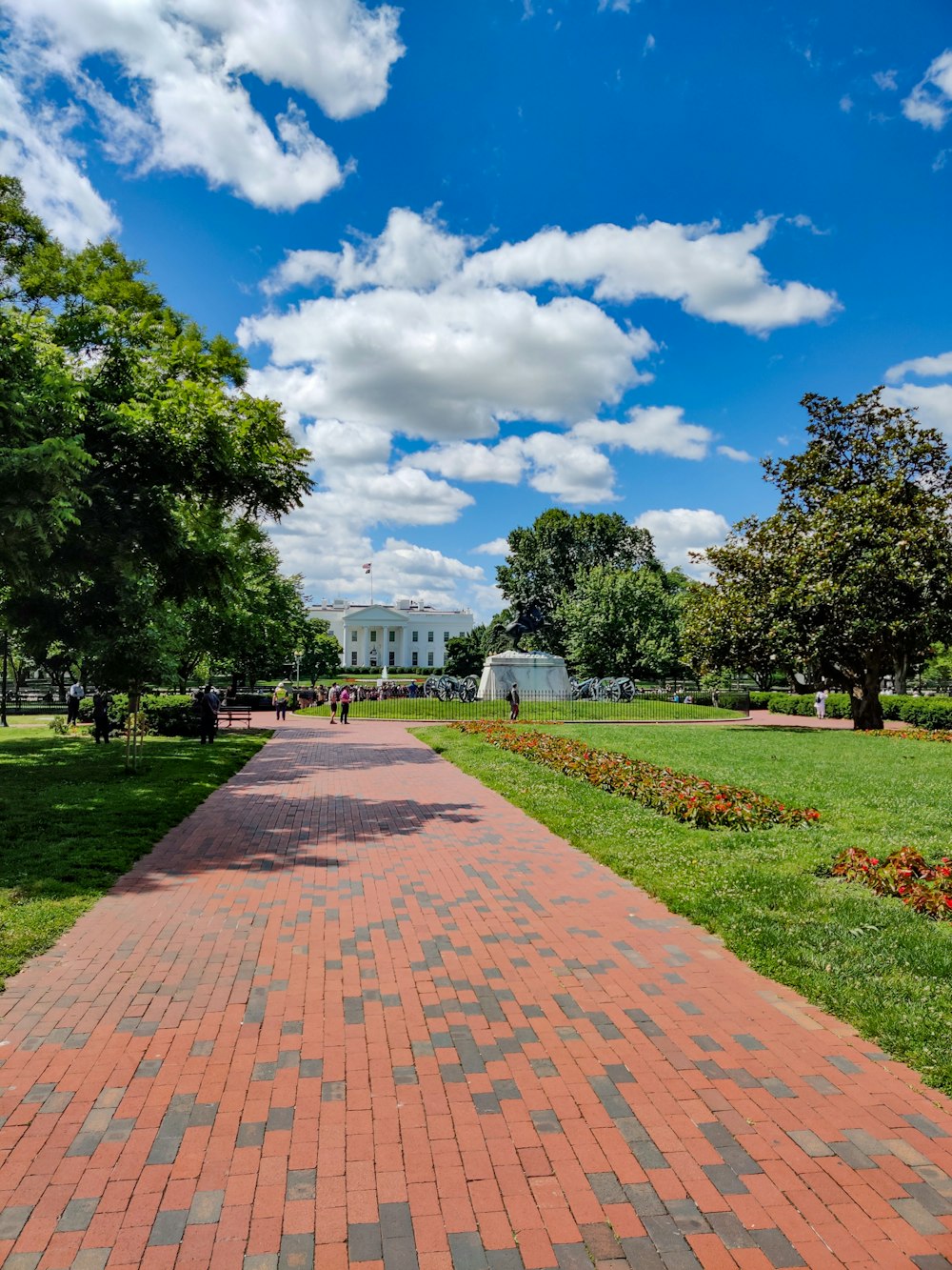 buildings near trees