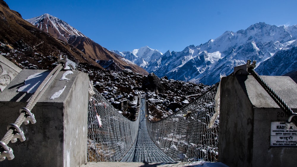 hanging bridge at daytime