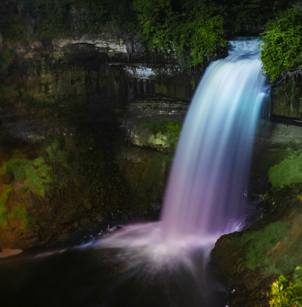 waterfalls near plants