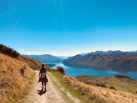 woman walking in Roys Peak Track New Zealand