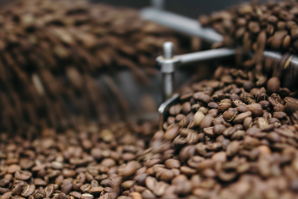 coffee beans being grinded