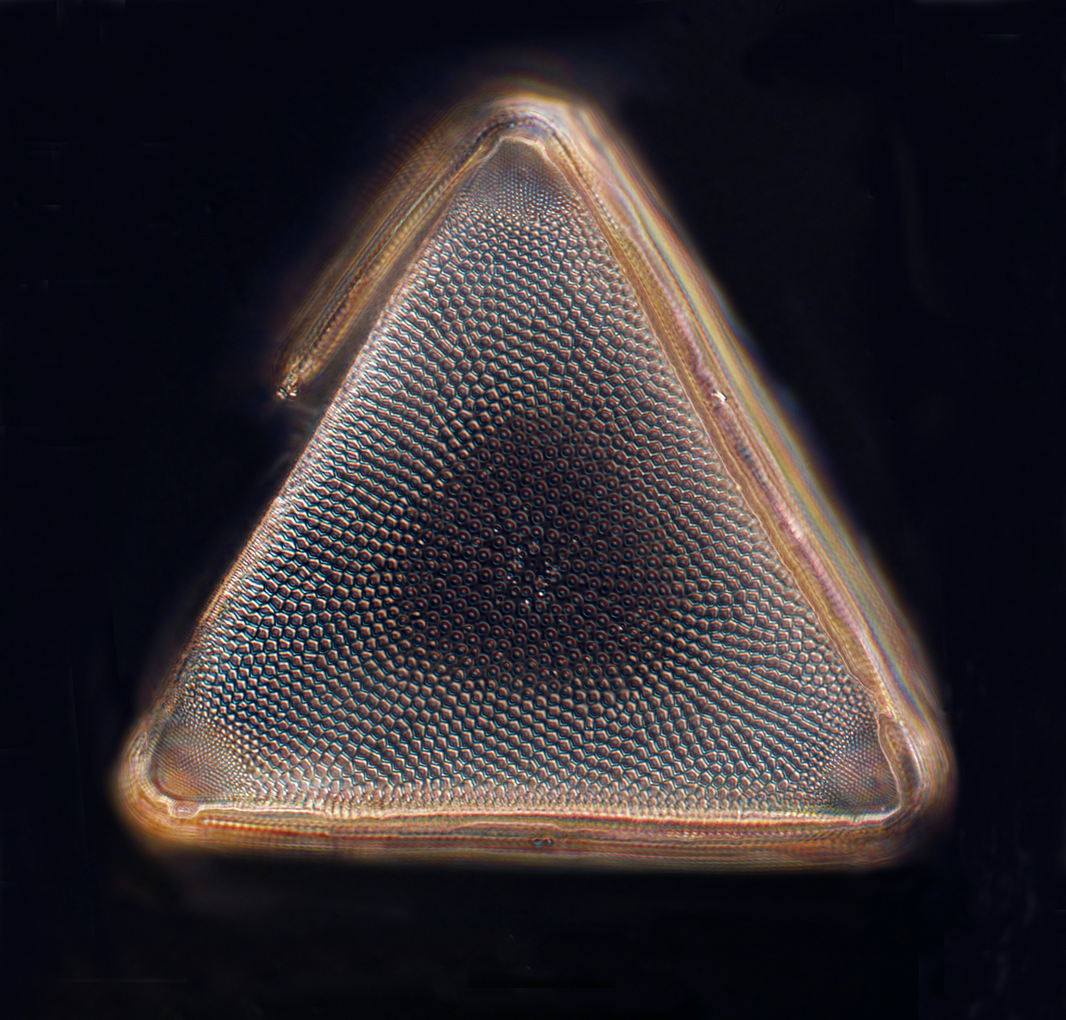 Why Your Next.js App Feels Slow in Development But Runs Snappy in Production