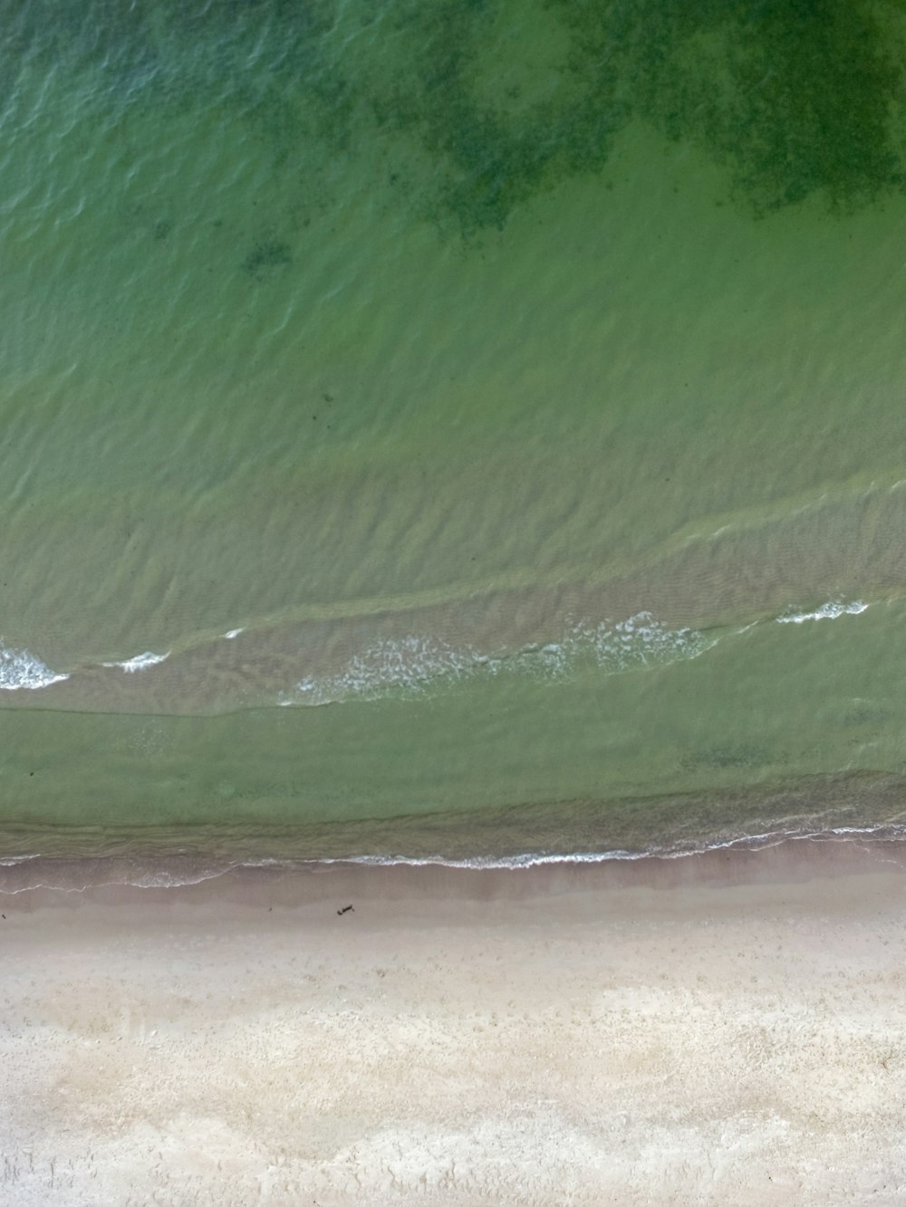 green sea aerial photography