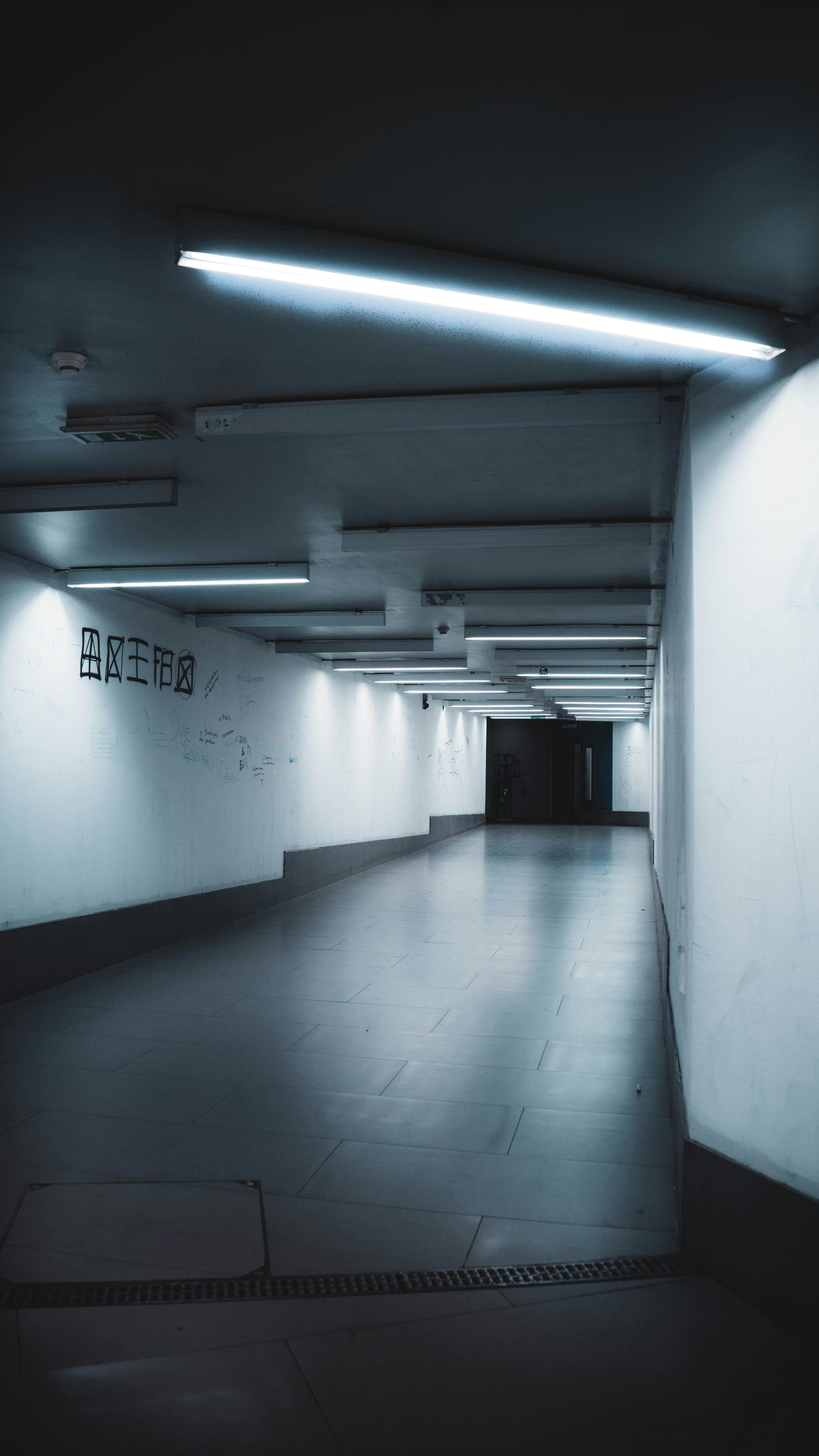 Photo by borna_hrzina