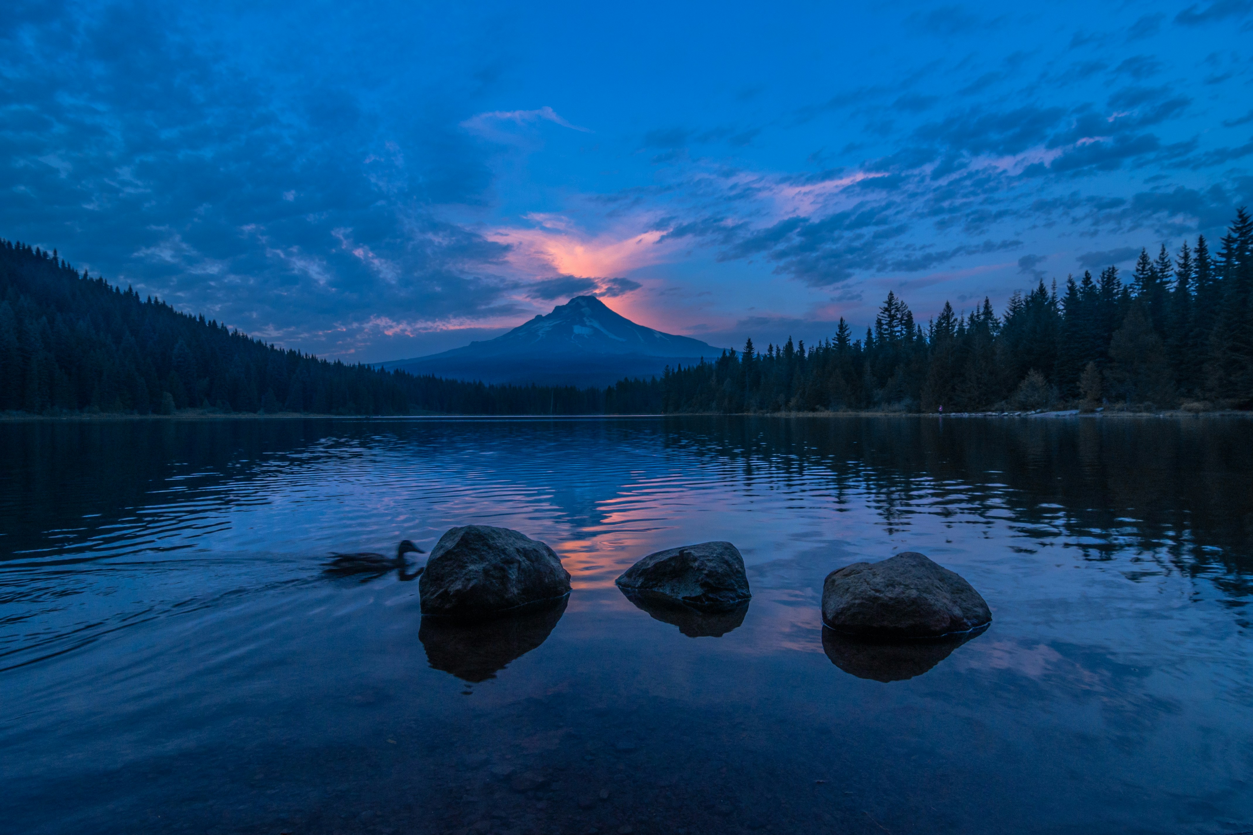 photo-1561484930-998b6a7b22e8?ixid=M3wxMjA3fDB8MXxzZWFyY2h8MTl8fHN0LiUyMGpvc2VwaCUyMG1vJTIwd2VhdGhlcnxlbnwwfHx8fDE3MTM4ODU1OTh8MA\u0026ixlib=rb-4.0.3