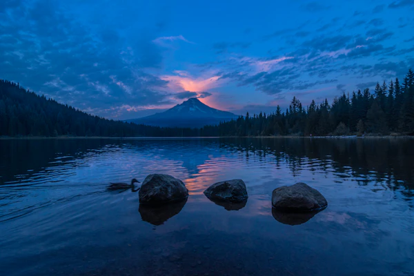 Cotton Printed Kurta Set