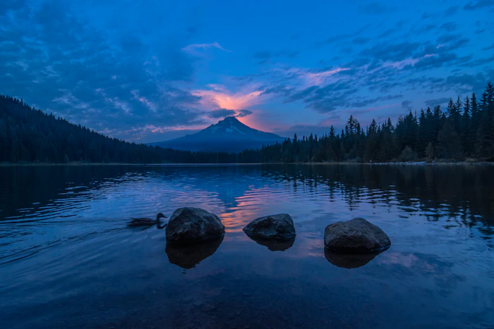 日本射箭弓道武術體驗