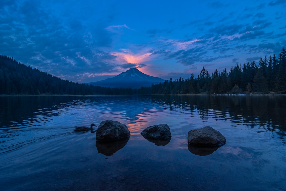 WMO-compliant automatic weather station deployed in an open field with clear fetch