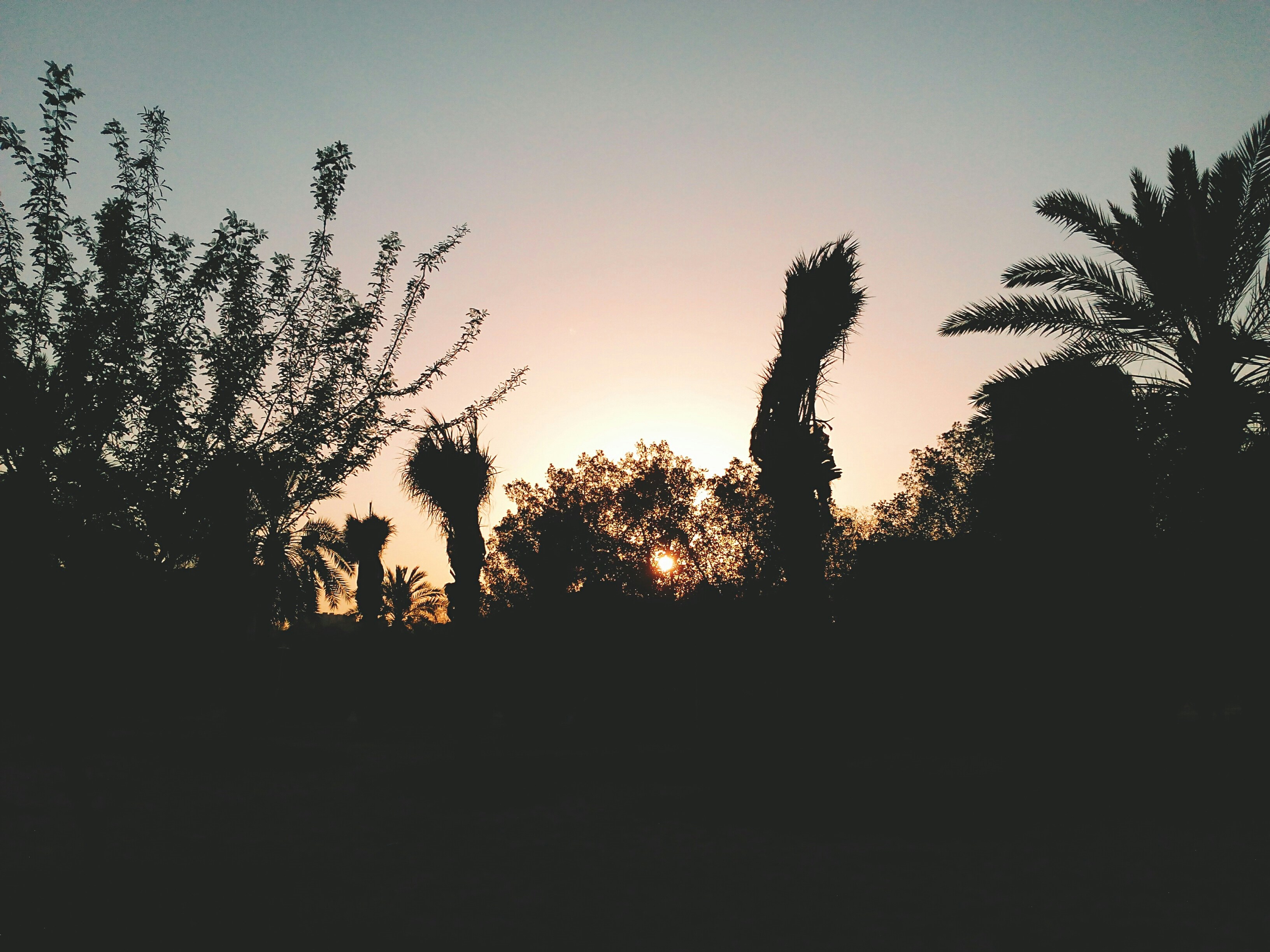 Photo by ruqayyahsheriff