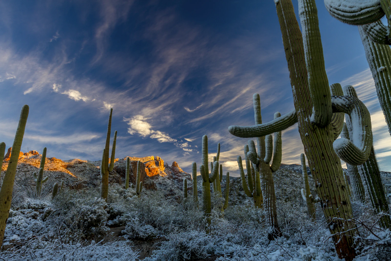 Corporate Business Services at BrightForge Enterprises, Scottsdale