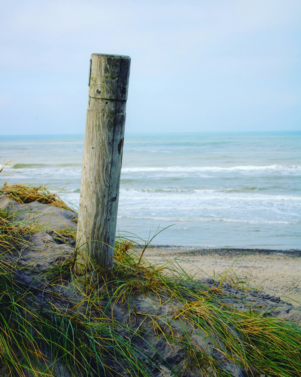 selective focus photography of shore post