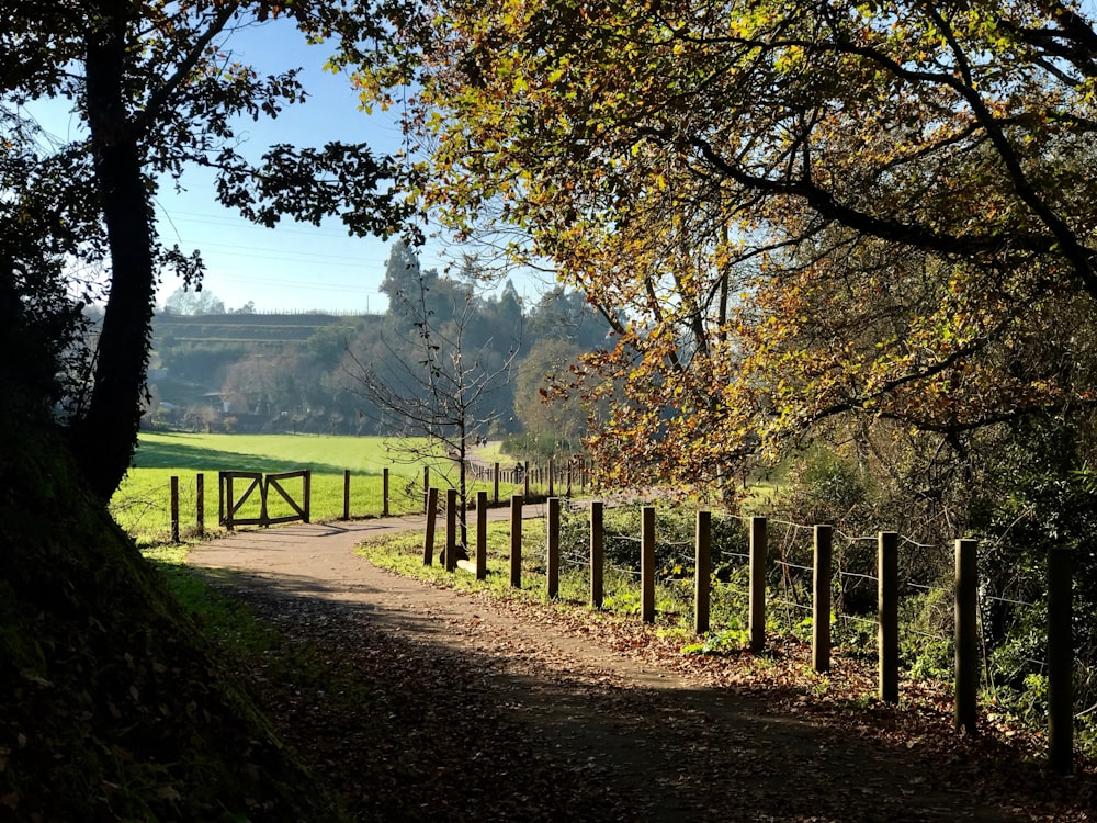 fence in both sides of road