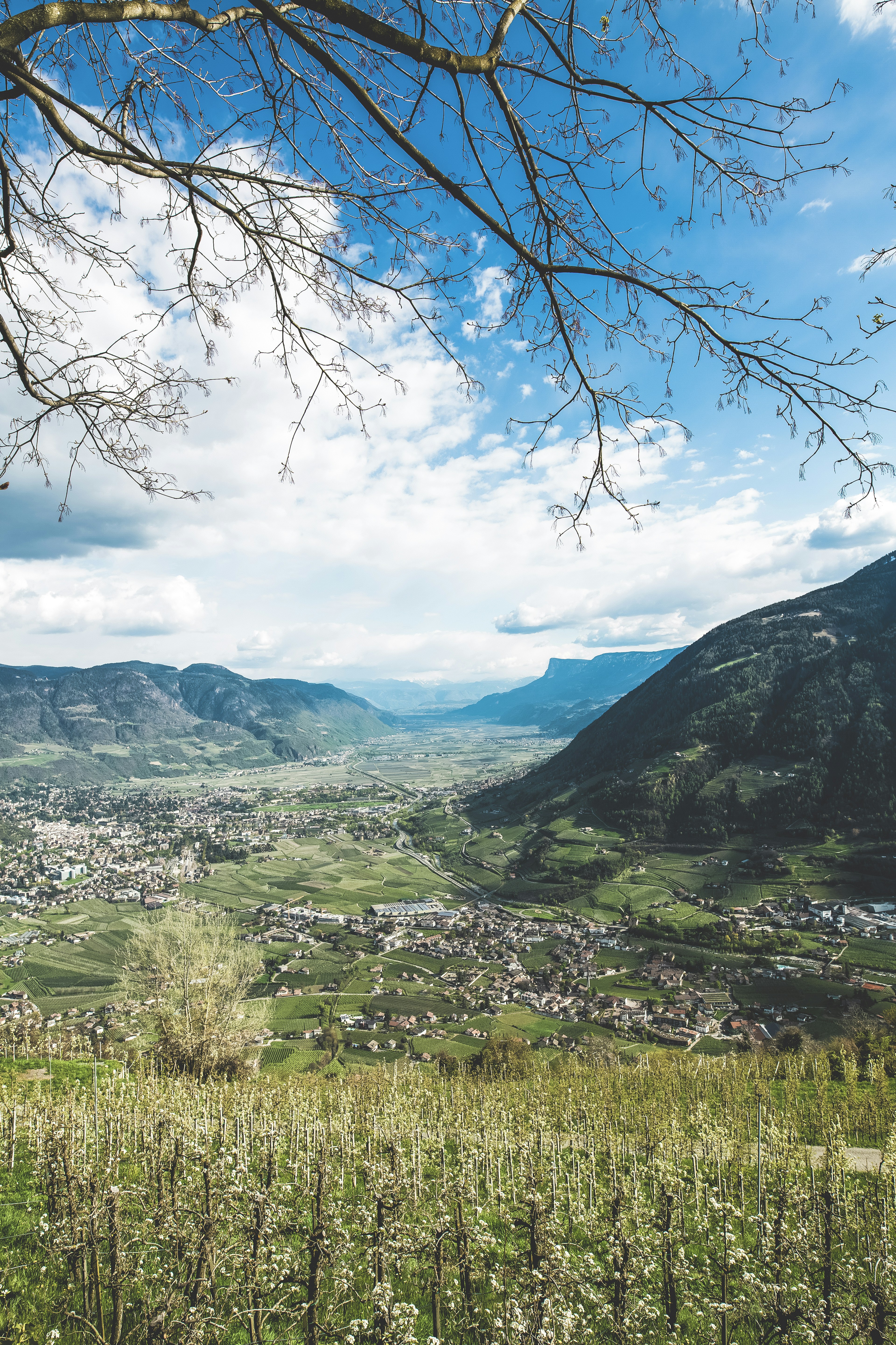 Photo by markusspiske