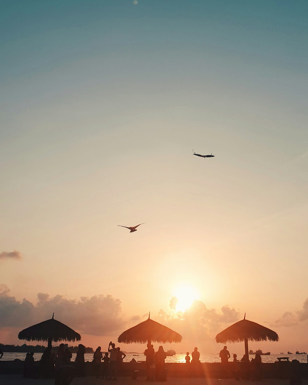 people near beach houses viewing sea during golden hour