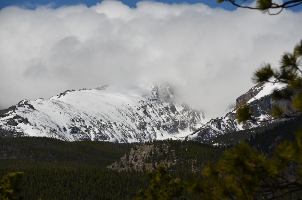 overlooking forest and mountains