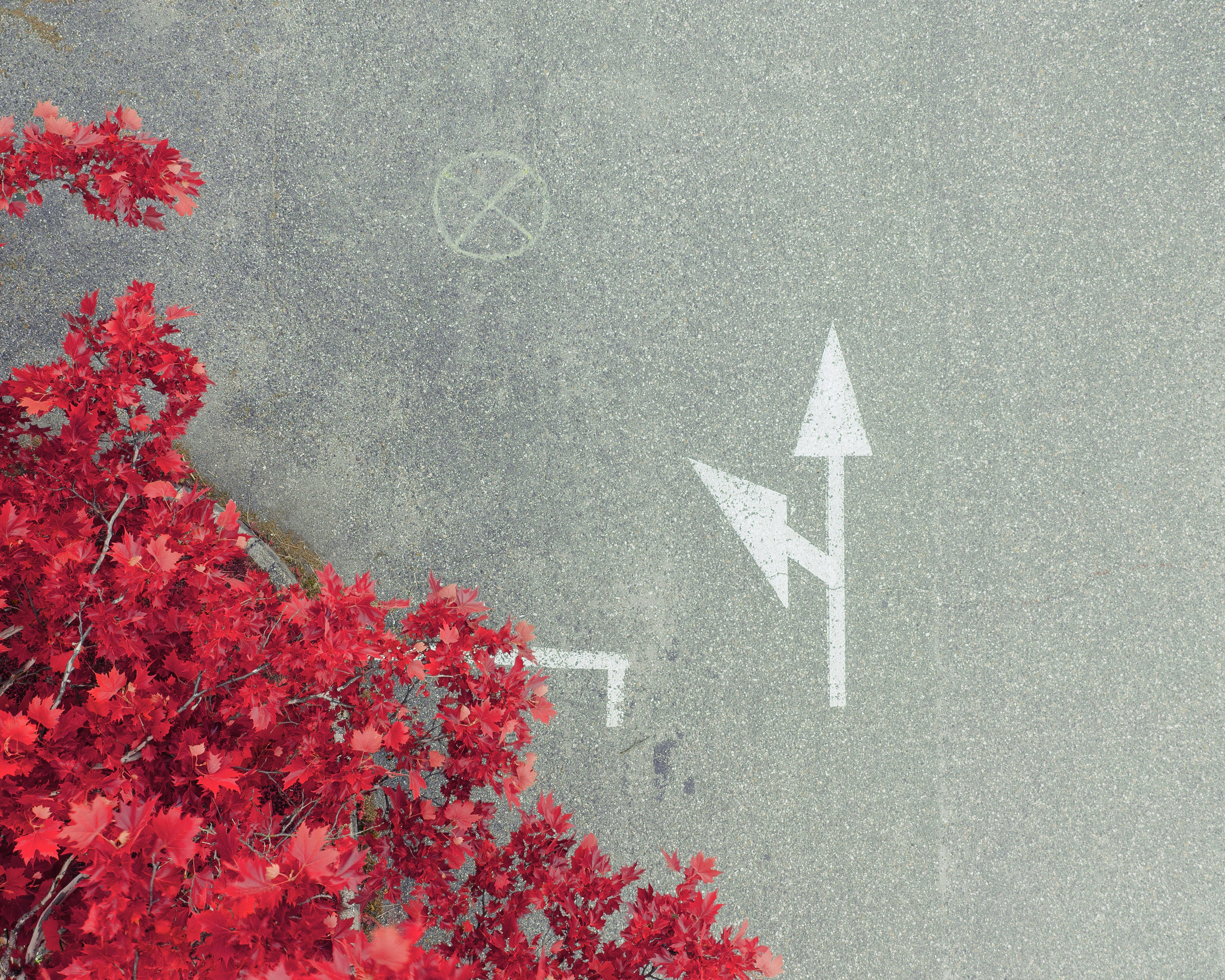 How will 2025 be for you?