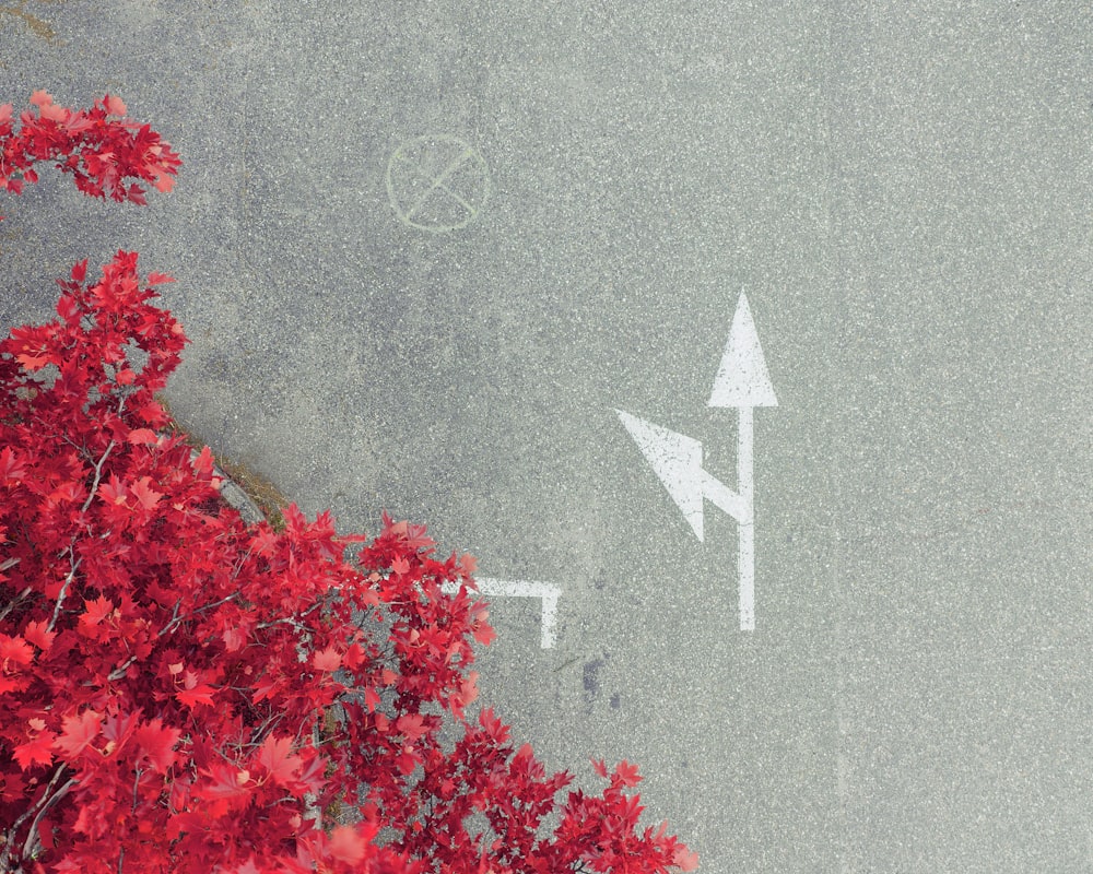 white arrows on a gray road