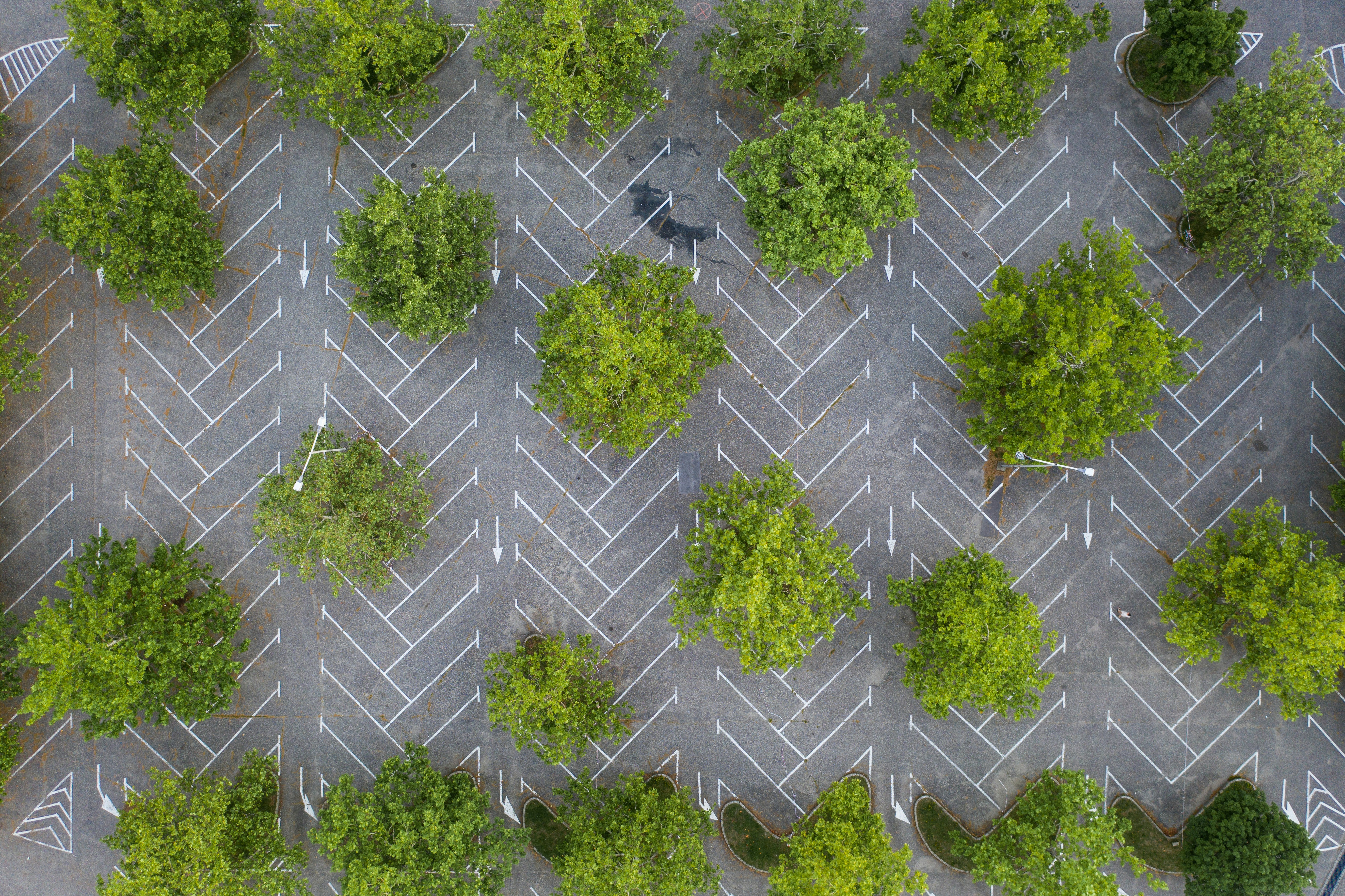 Visegrad – Food & Dining Culture