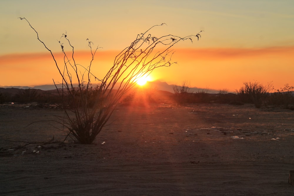 orange setting sun in horizon