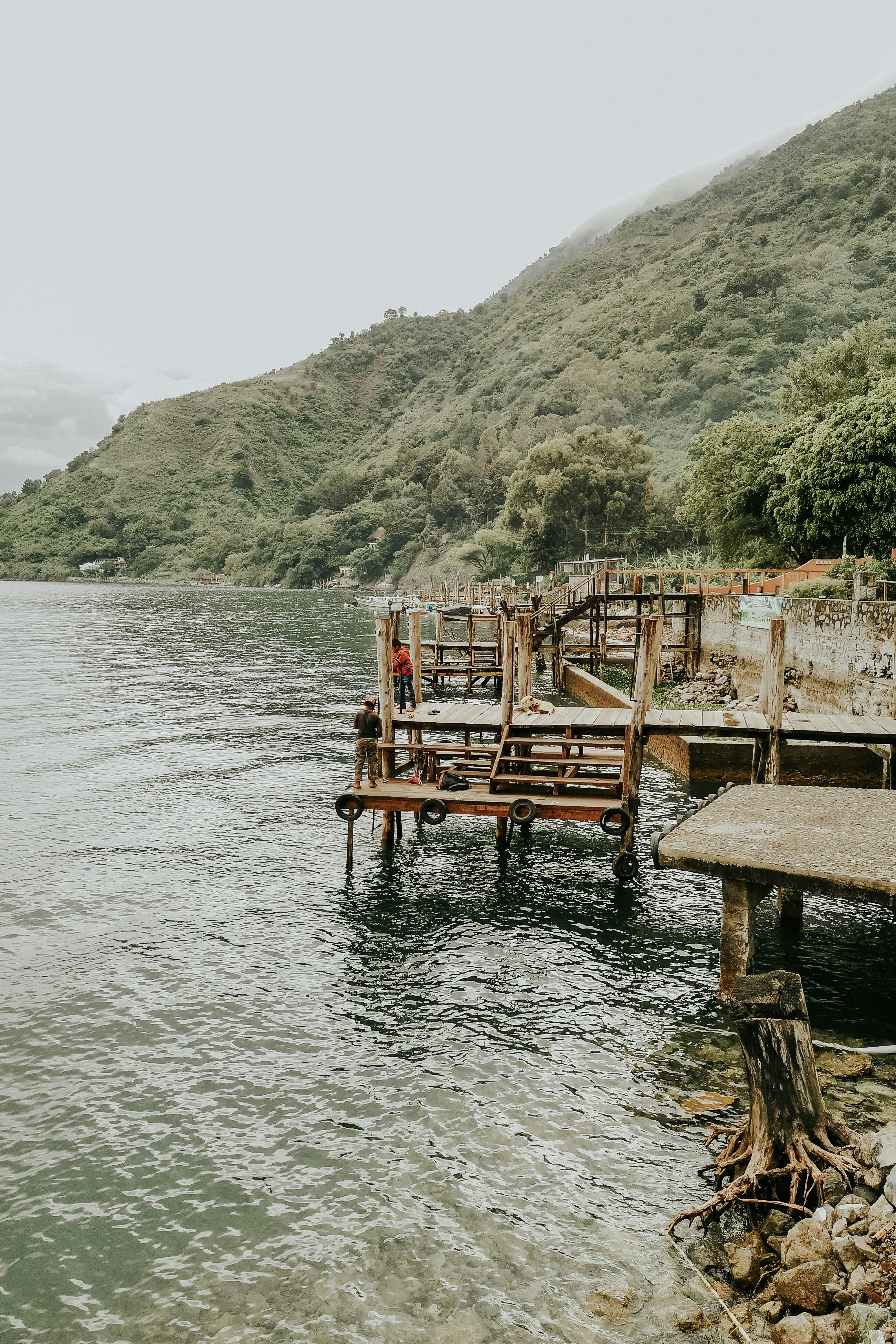 brown wooden beach dock viewing sea