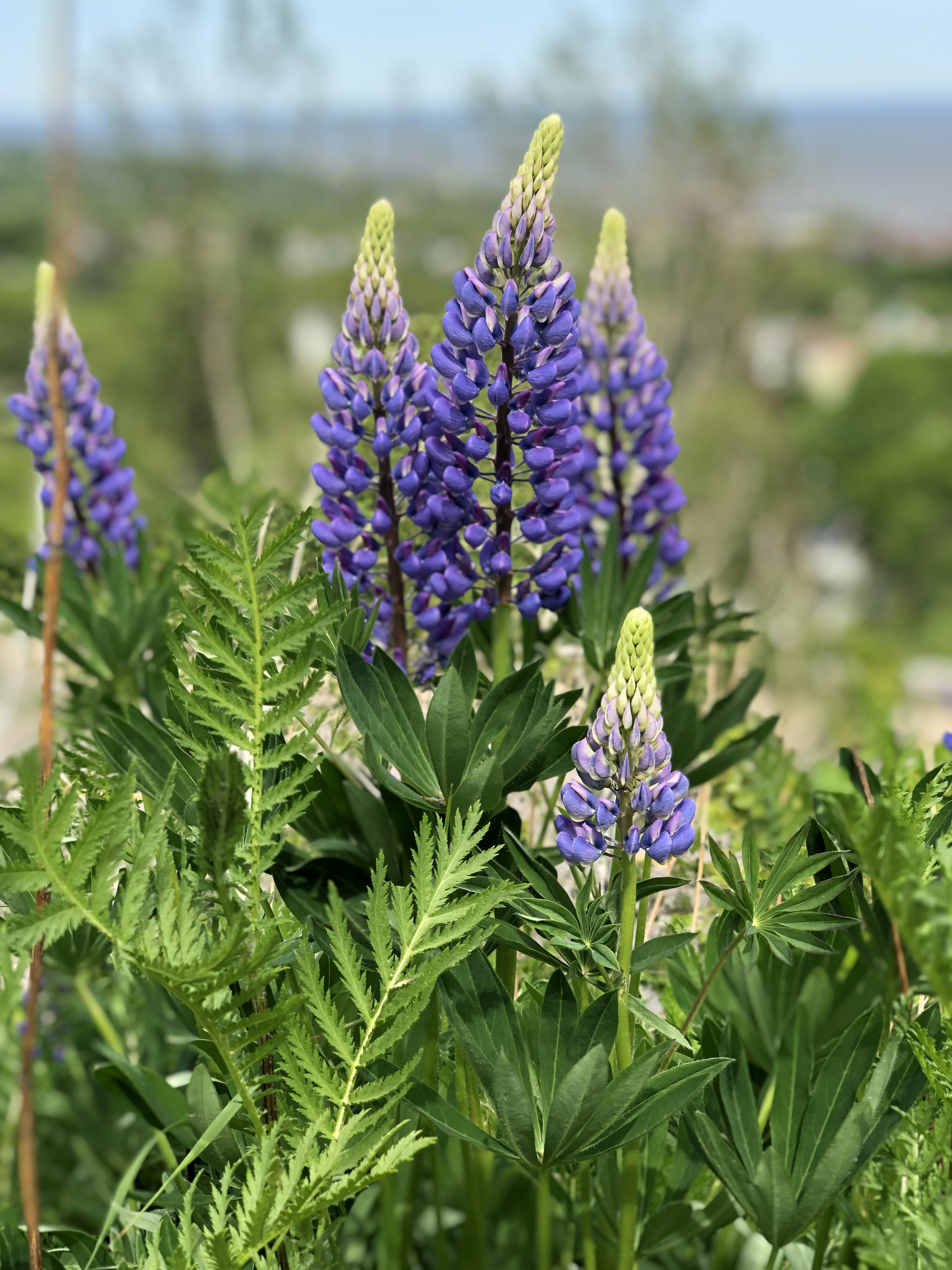 Photo by craig_bertram