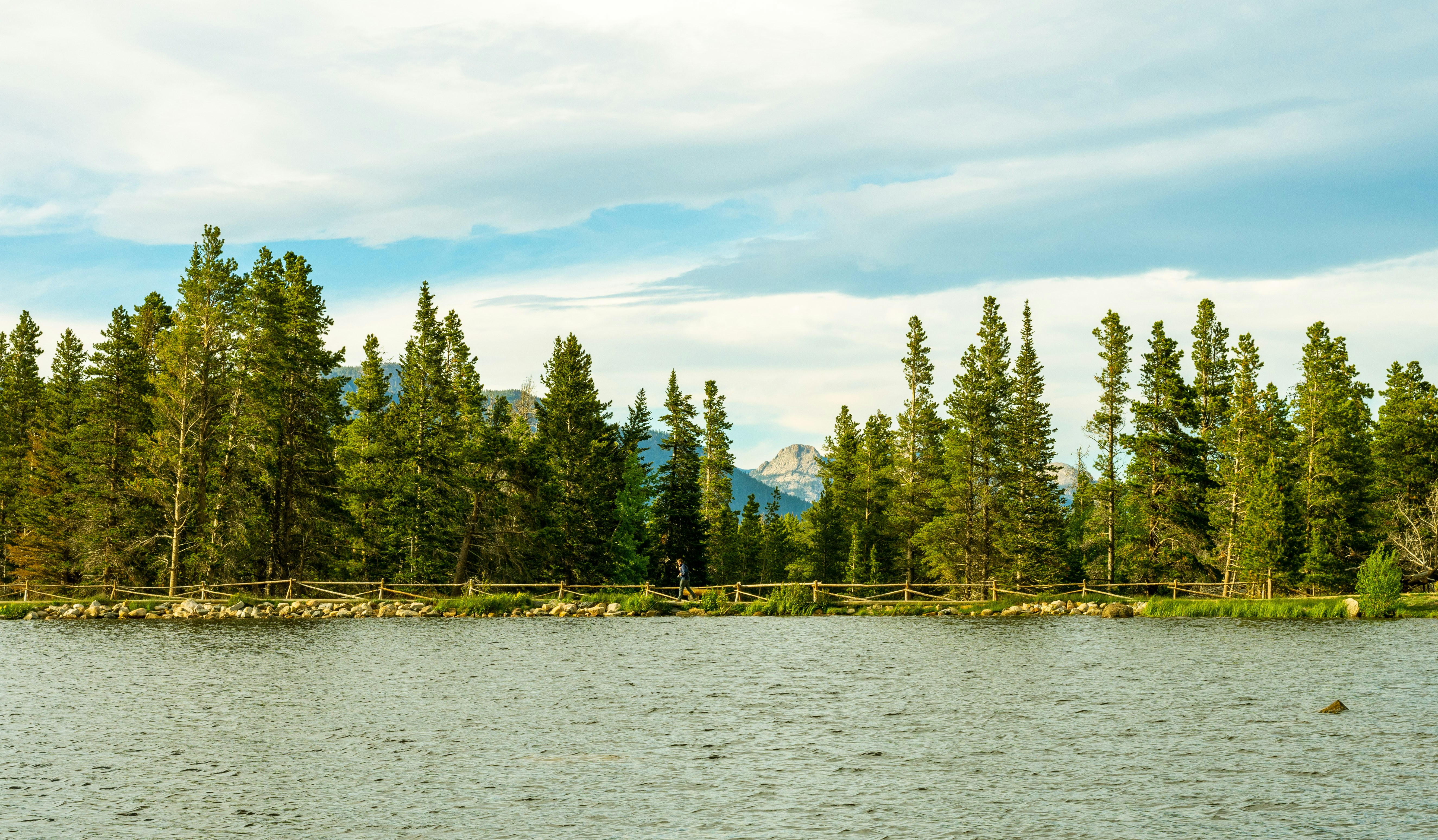 Photo by tommygarritty