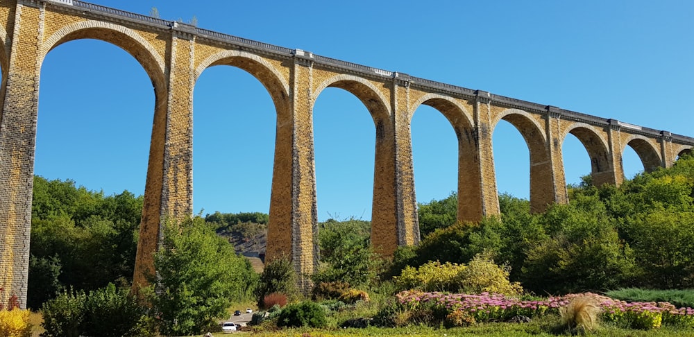 brown concrete arch bridge