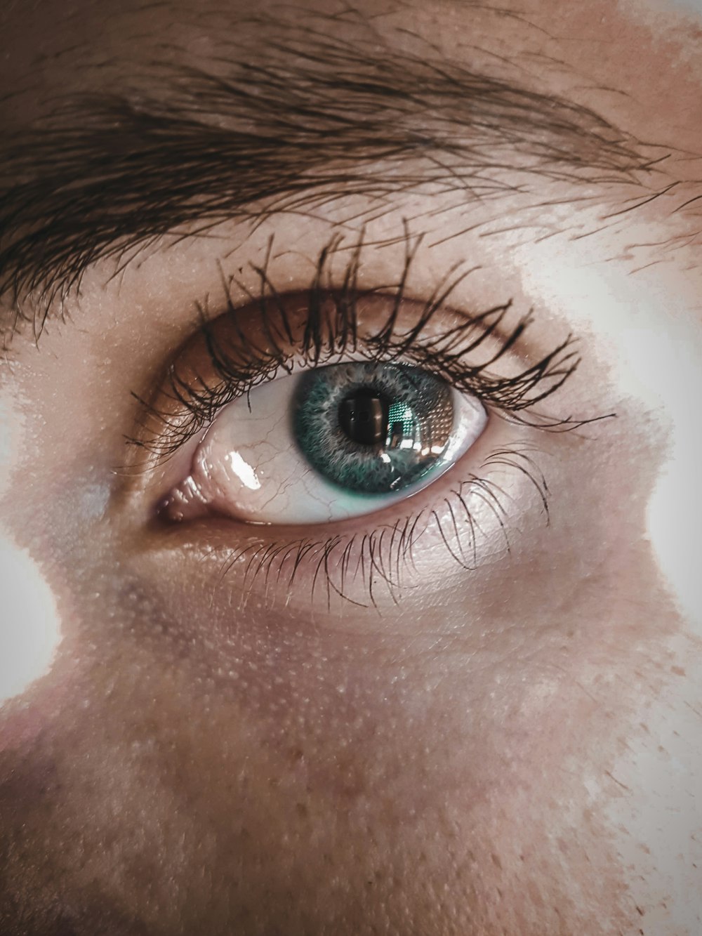 l'occhio umano