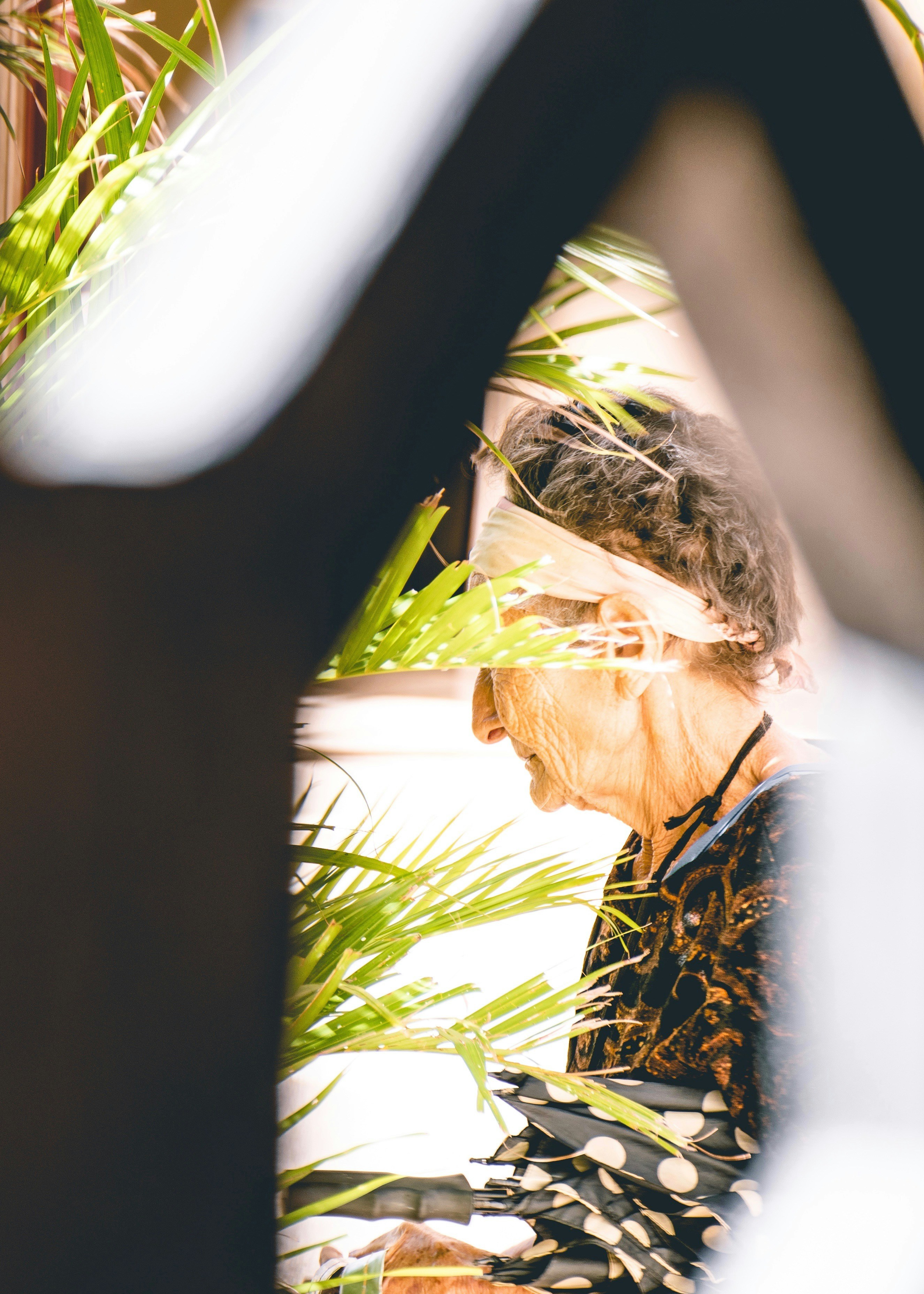 Photo by andyluismdo96