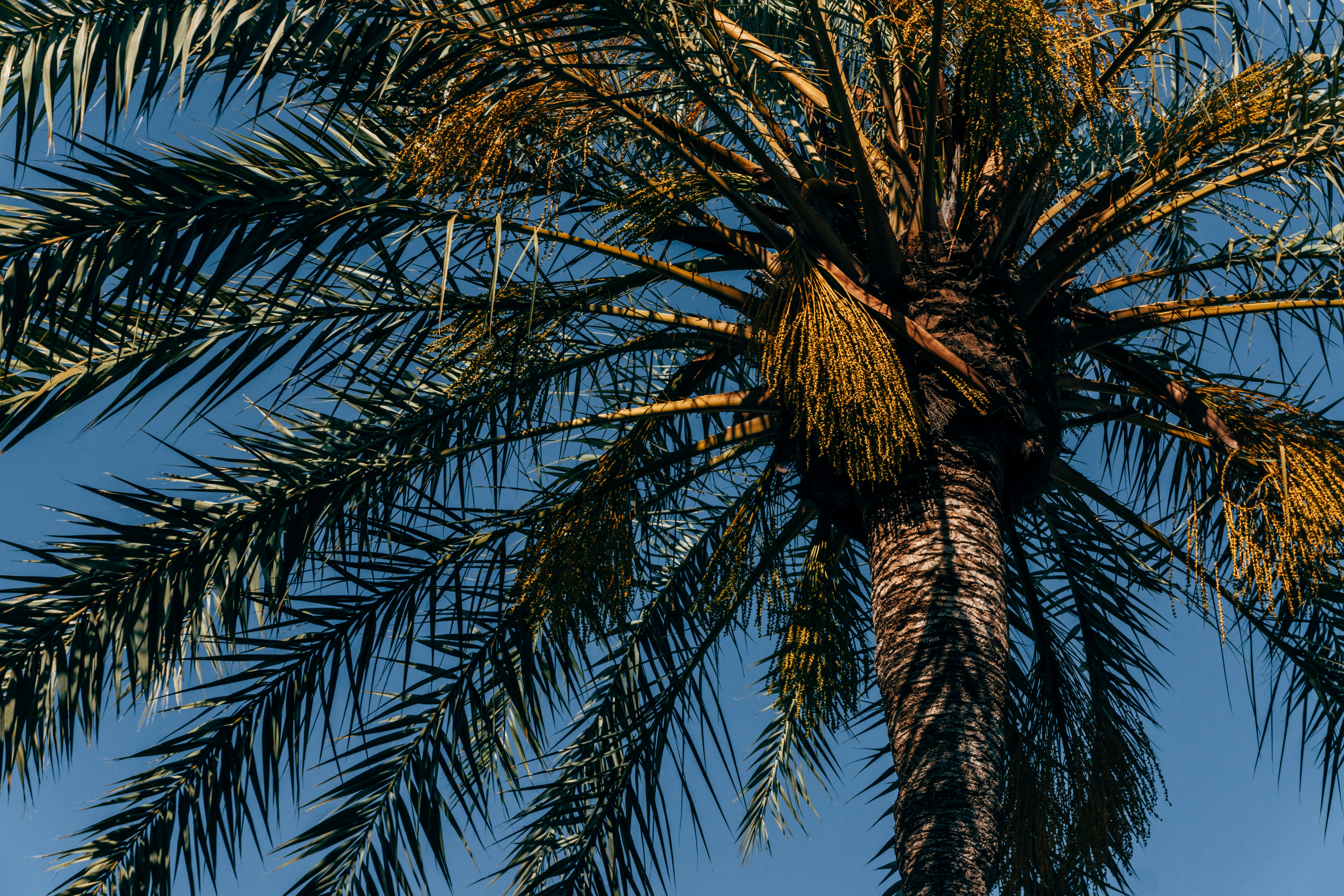 Photo by les_elizabethj