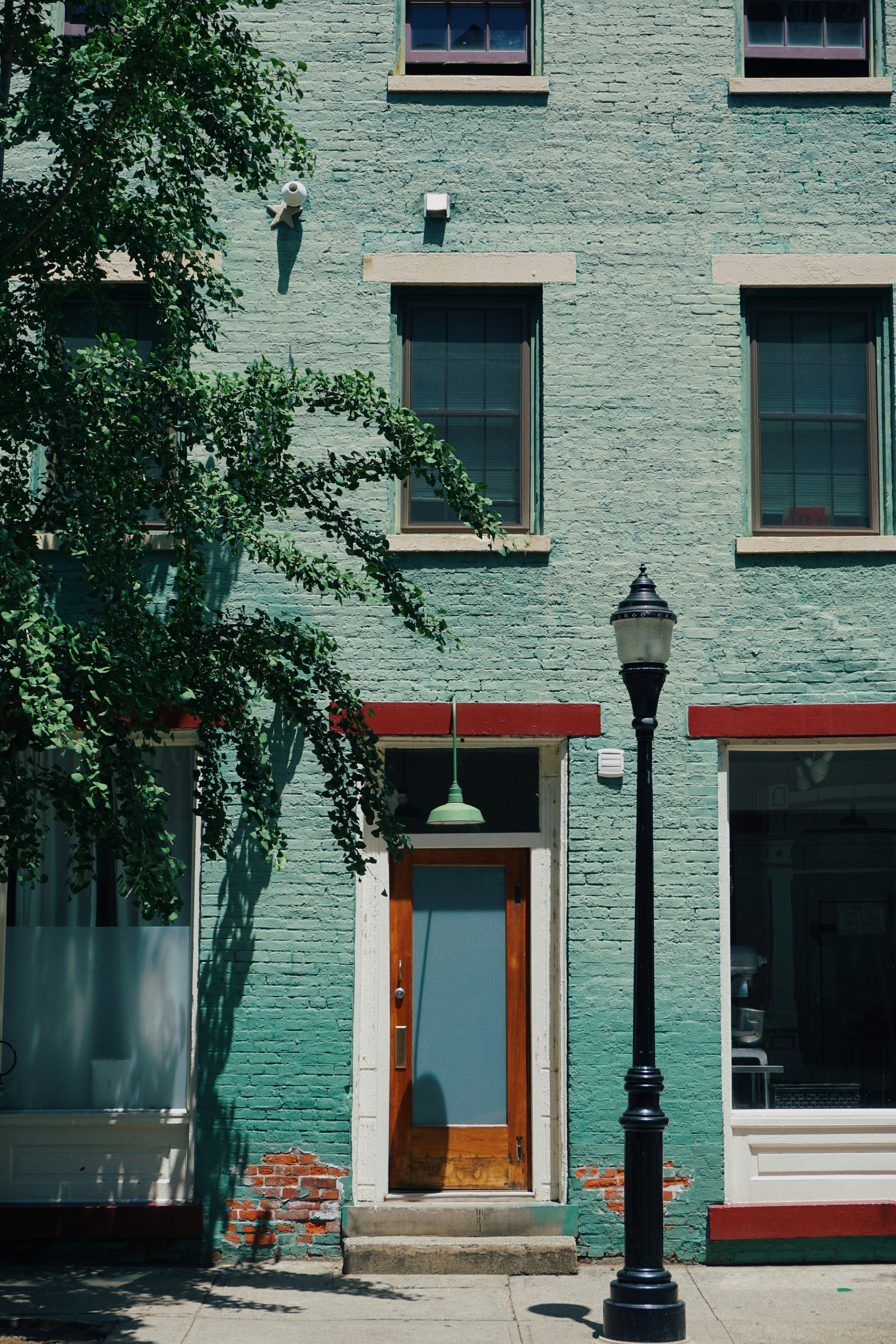 Photo by elisepetrovich