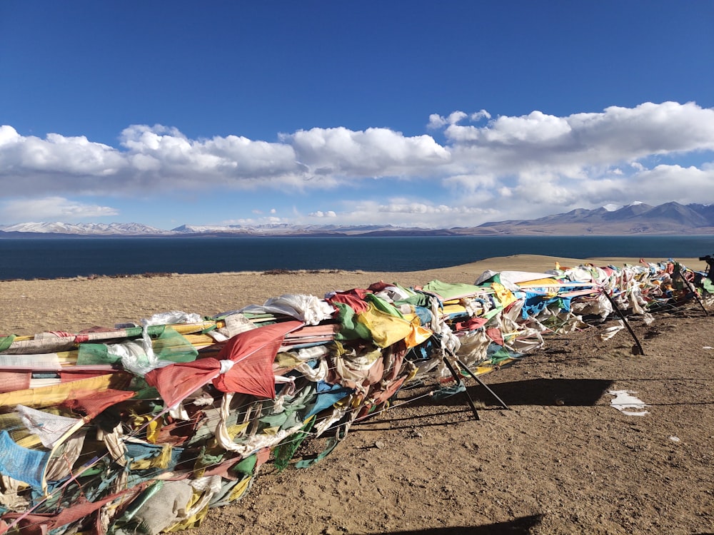 multicolored tarpaulins in beach at daytime