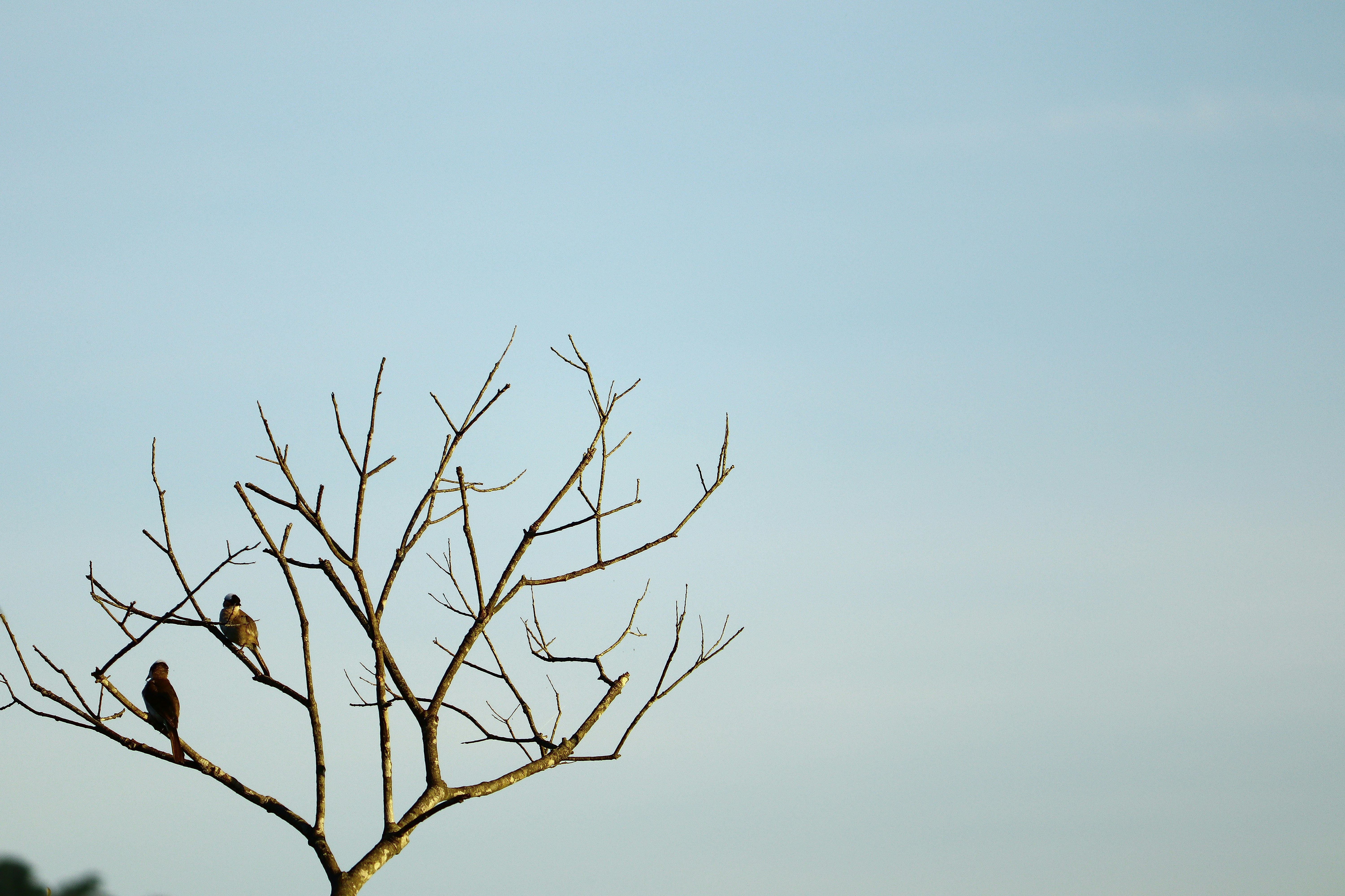 Photo by curry_magic02