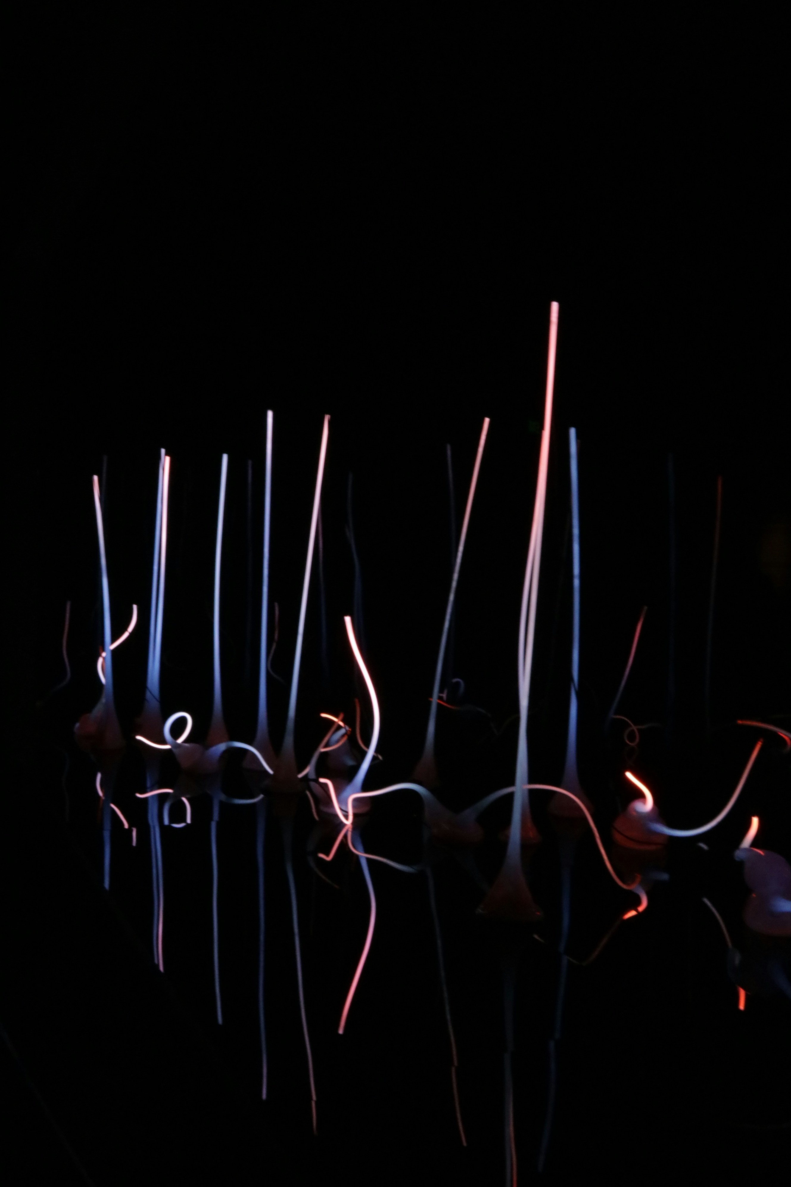 reflection of neon lights on body of water