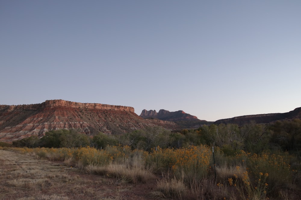 brown plateau in mesa