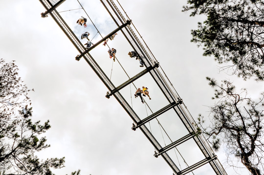 worm's-eye view photo of glass step bridge