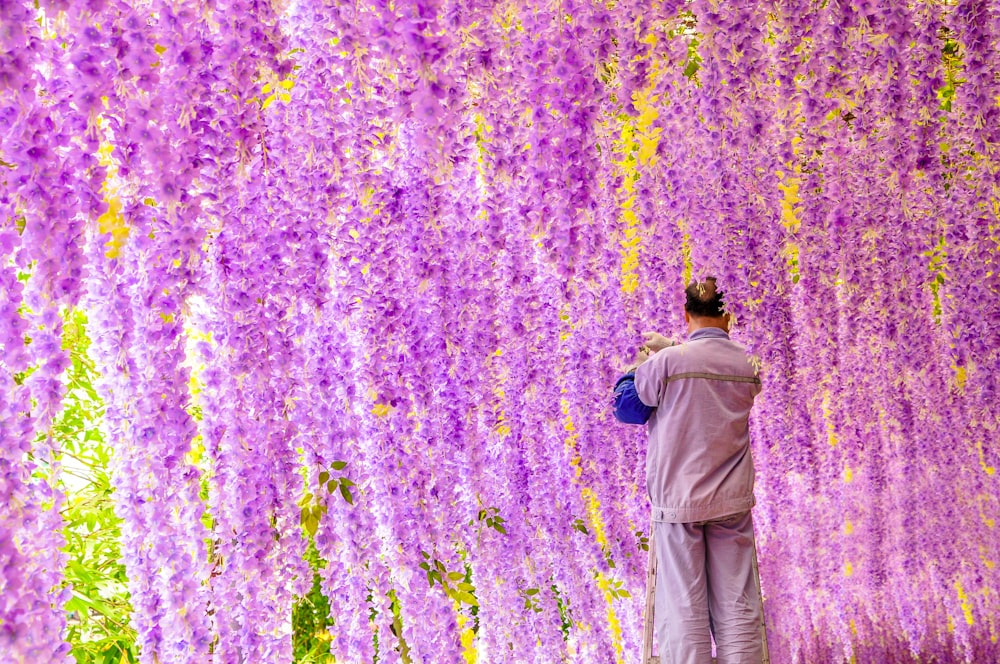 person wearing gray shirt and pants standing beside pink petaled flowers