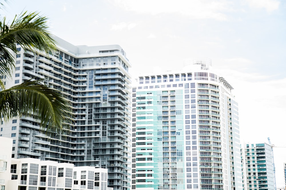 high-rise building under white sky