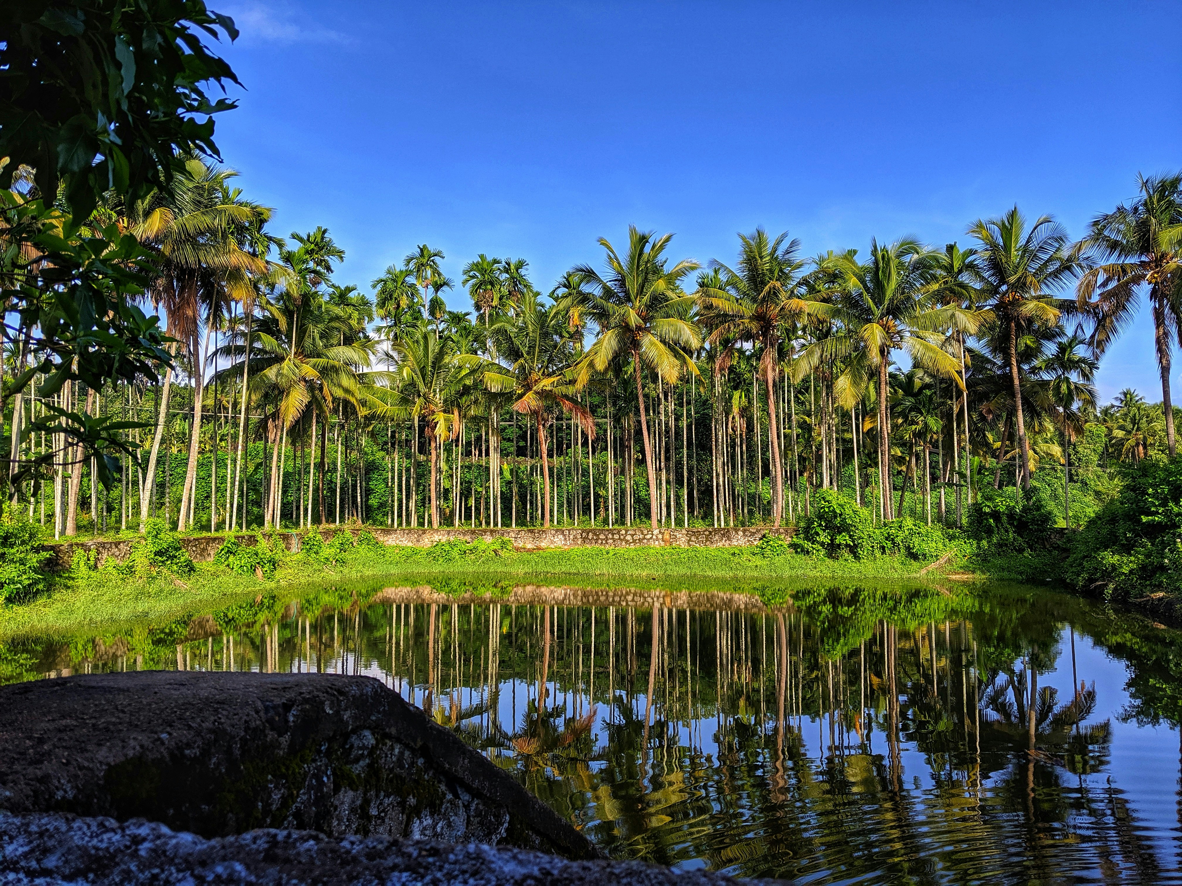 Beautiful greeneries of Chalakudy