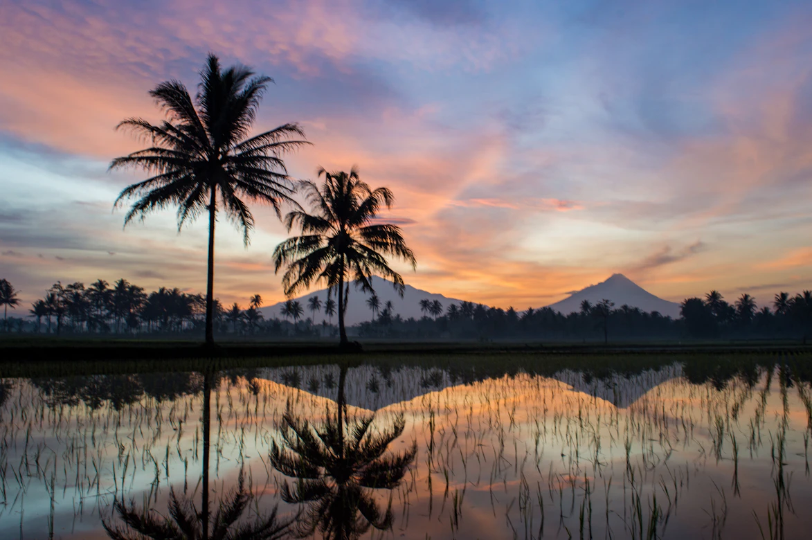 Romantic sunset over a Bali villa and jungle valley